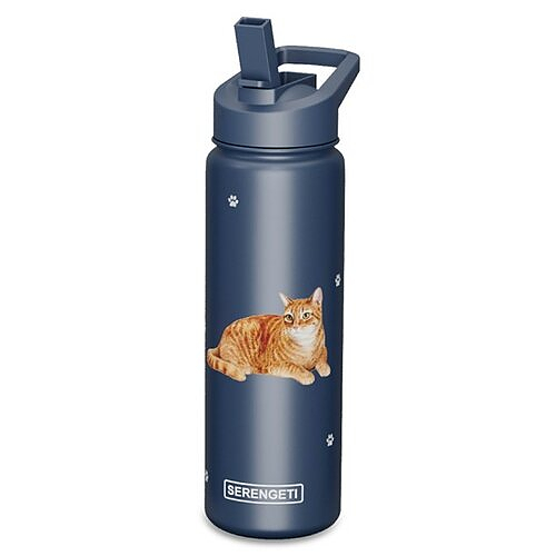 Water Bottle - Orange Tabby - OUT OF STOCK